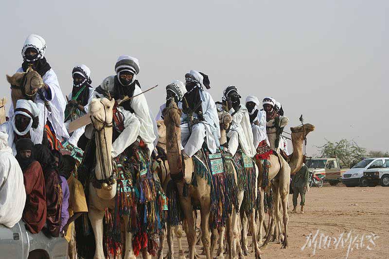 Mud Maps Africa Gaddafi camel party 3421